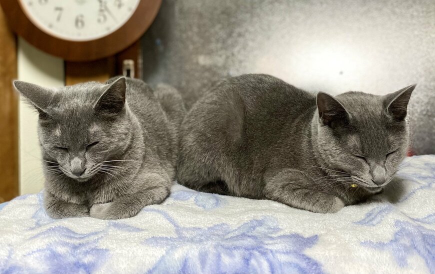 出所：@luna7taka9