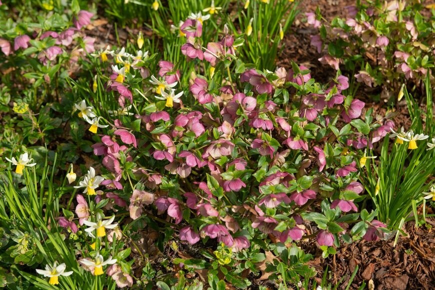 Peter Turner Photography/shutterstock.com