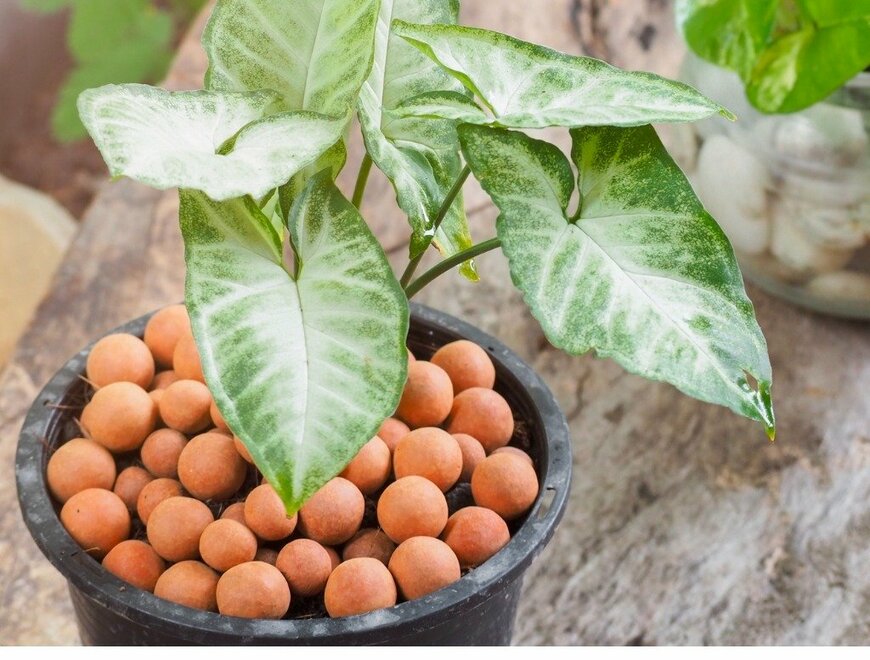 Nirunya Juntoomma/istockphoto.com