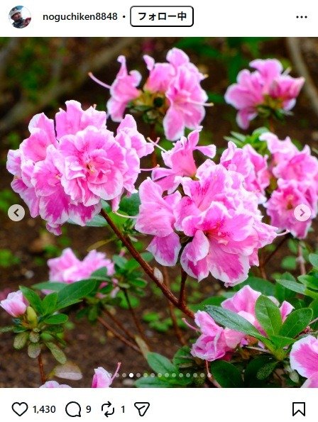 出所：野口健のInstagram（＠noguchiken8848）　参照日：2026年4月16日