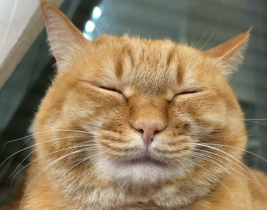 出所：@kagisuzu0531