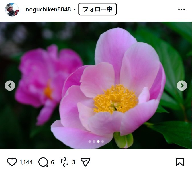 出所：野口健のInstagram（＠noguchiken8848） 参照日：2026年5月11日