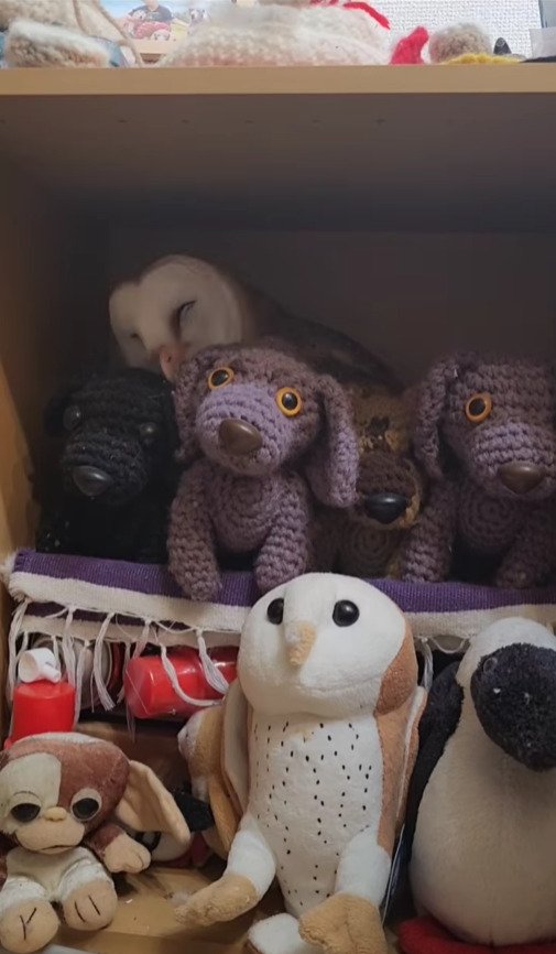 出所：@miki4wan108