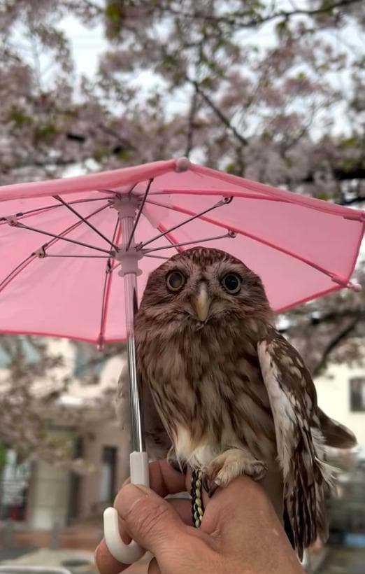 出所：@cr8673.hiro