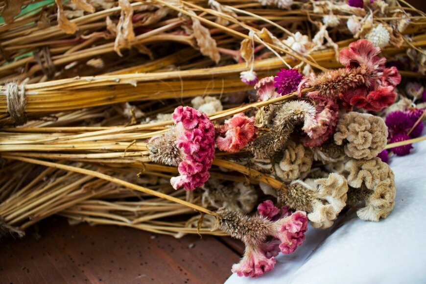 Mallymoya/istockphoto.com