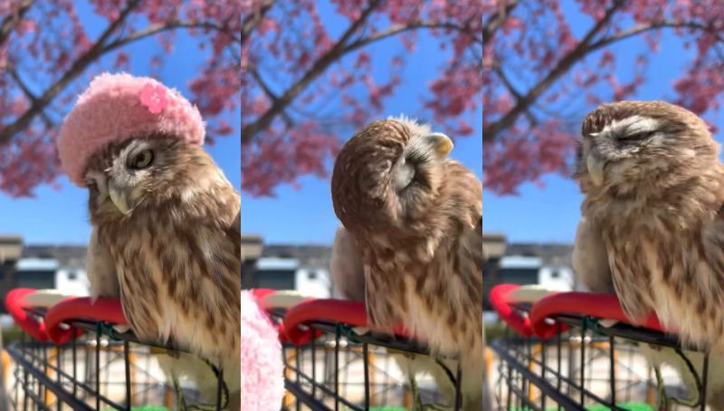 出所：@cr8673.hiro