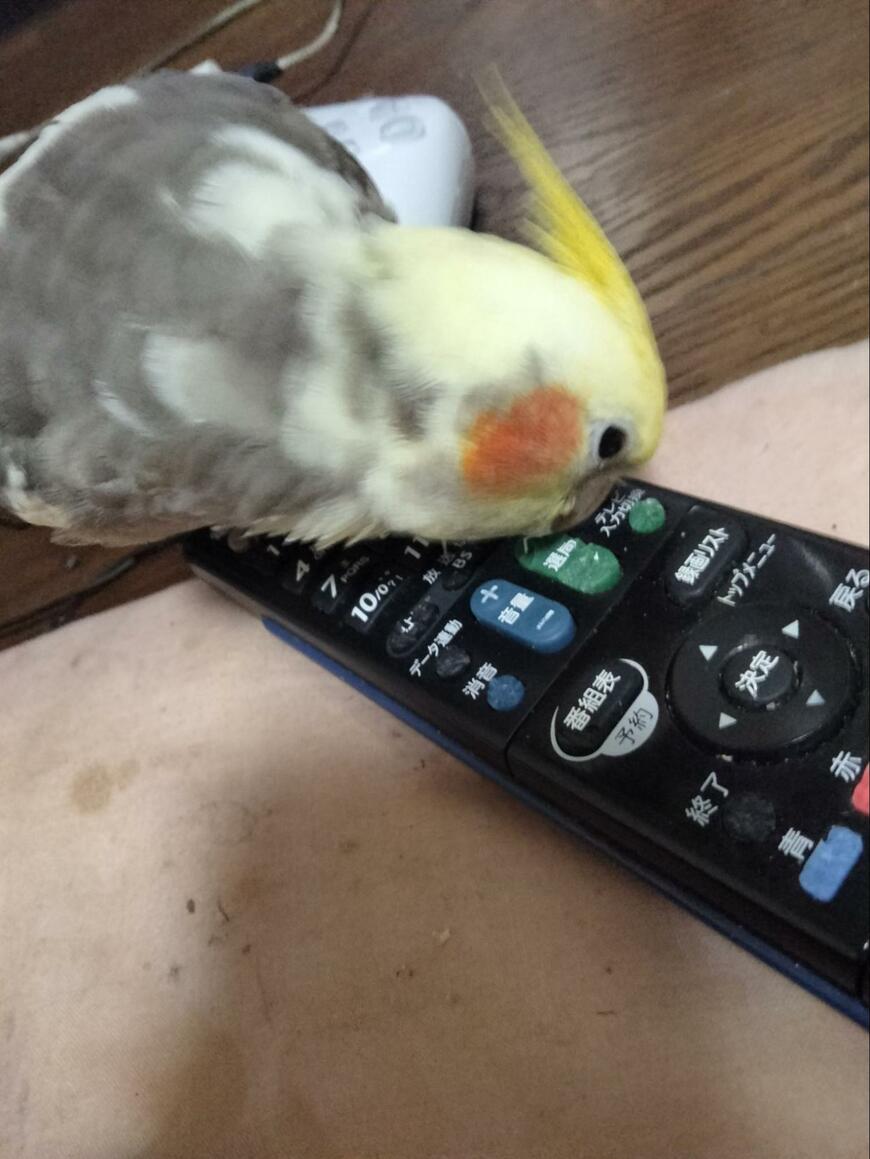 出所：@kohaito7915