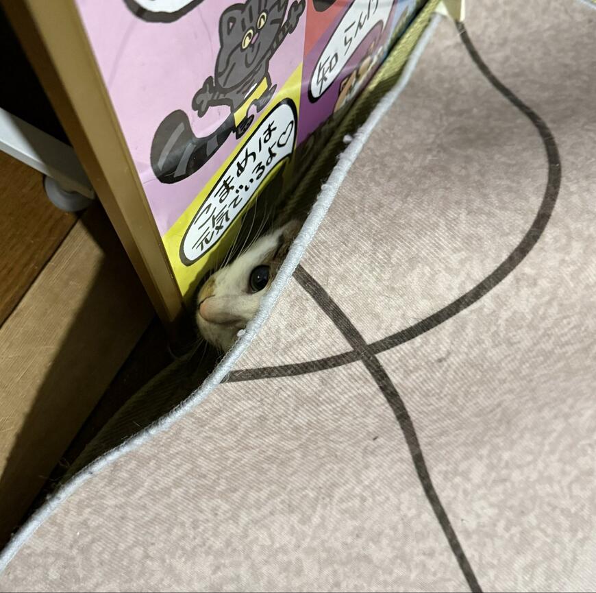 出所：@00shitemita