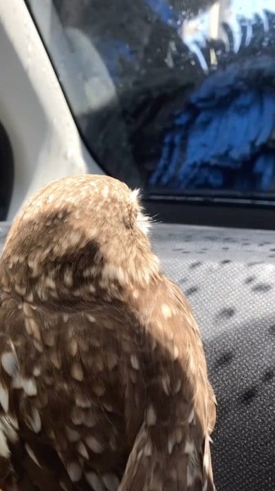 出所：@cr8673.hiro