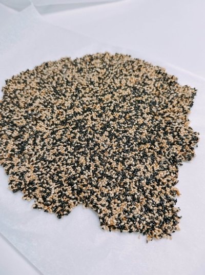 出所：渡辺美奈代のAmeba公式ブログ 参照日：2026年1月29日