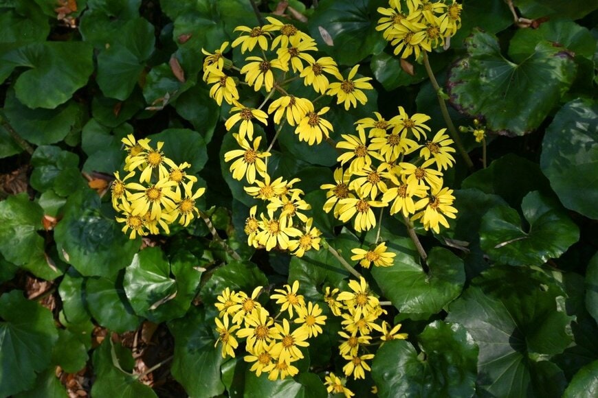 undefined undefined/istockphoto.com