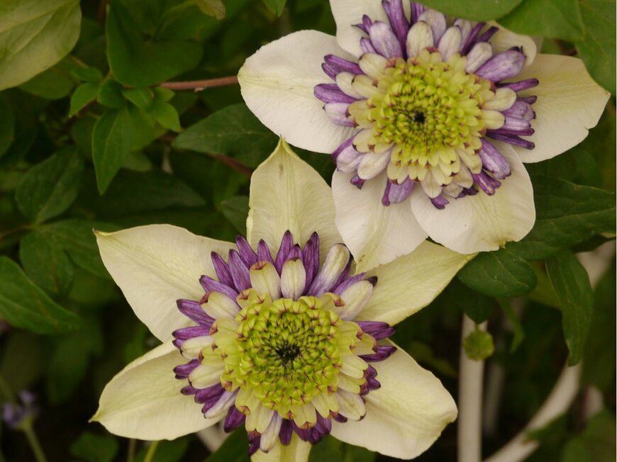 John R Martin/Shutterstock.com