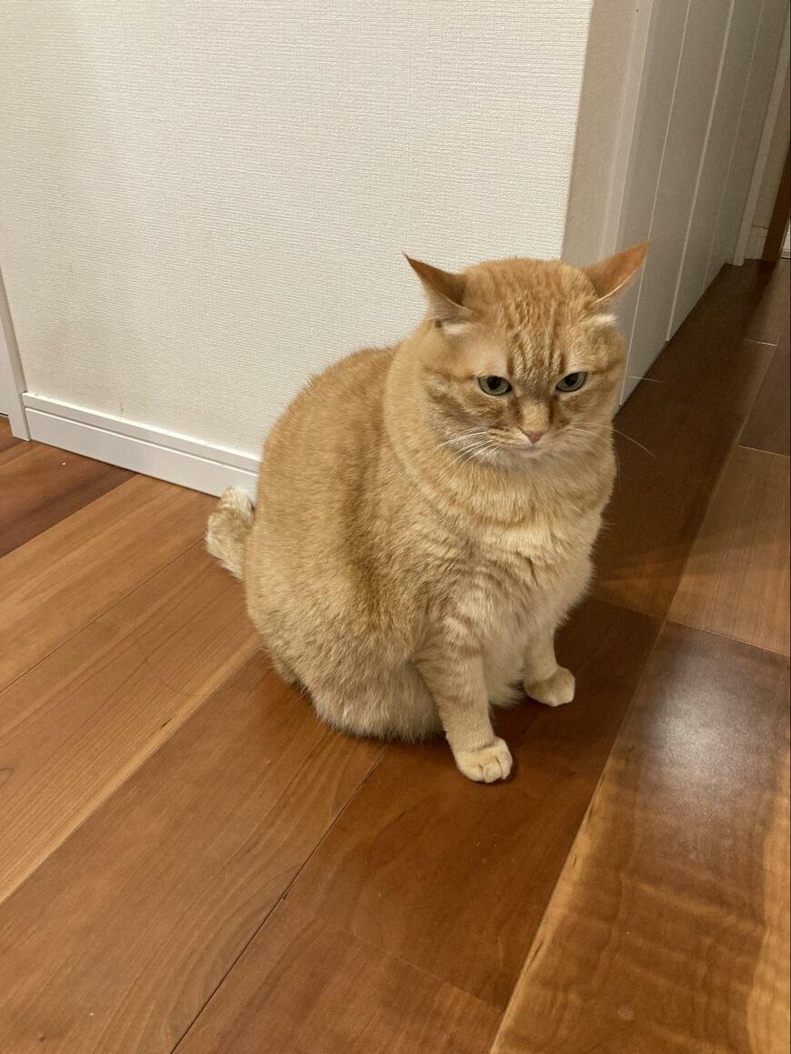 出所：@kagisuzu0531