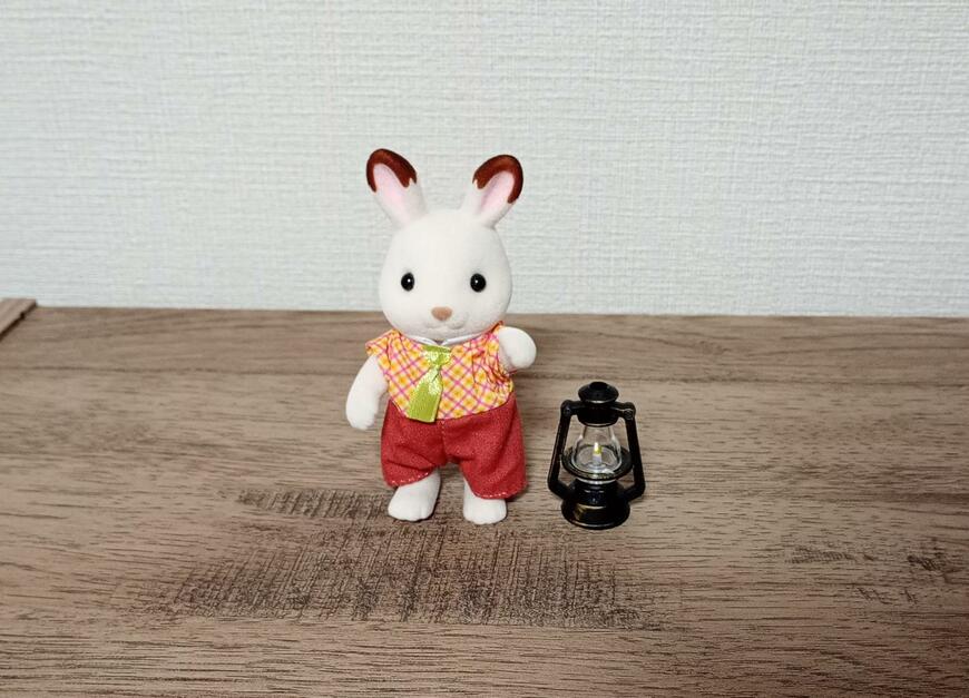 出所：筆者撮影（セリア、ミニチュアランタン）