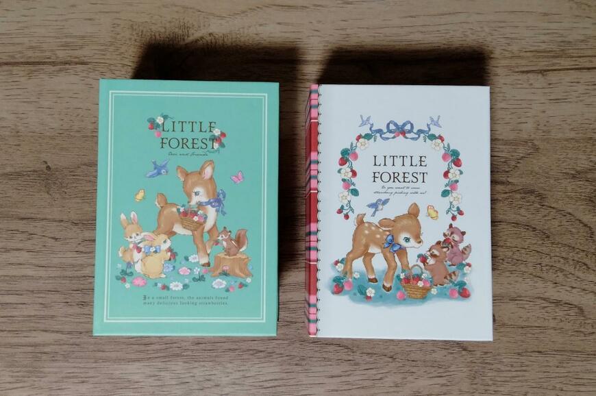 筆者撮影（セリア、ブック型ボックスS ヴィンテージフォレスト）