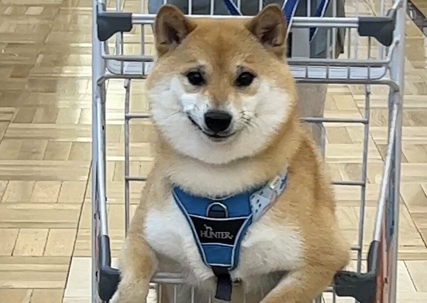 出所：@fufufufufu_ta