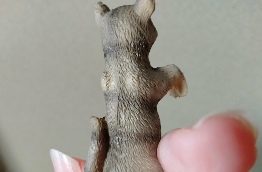 筆者撮影（ダイソー、縁にかけられるアニマル（猫））