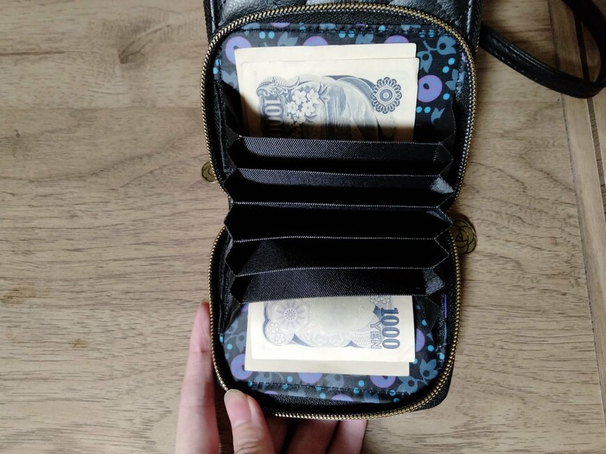 筆者撮影（宝島社、ANNA SUI じゃばら式スマホポーチ）