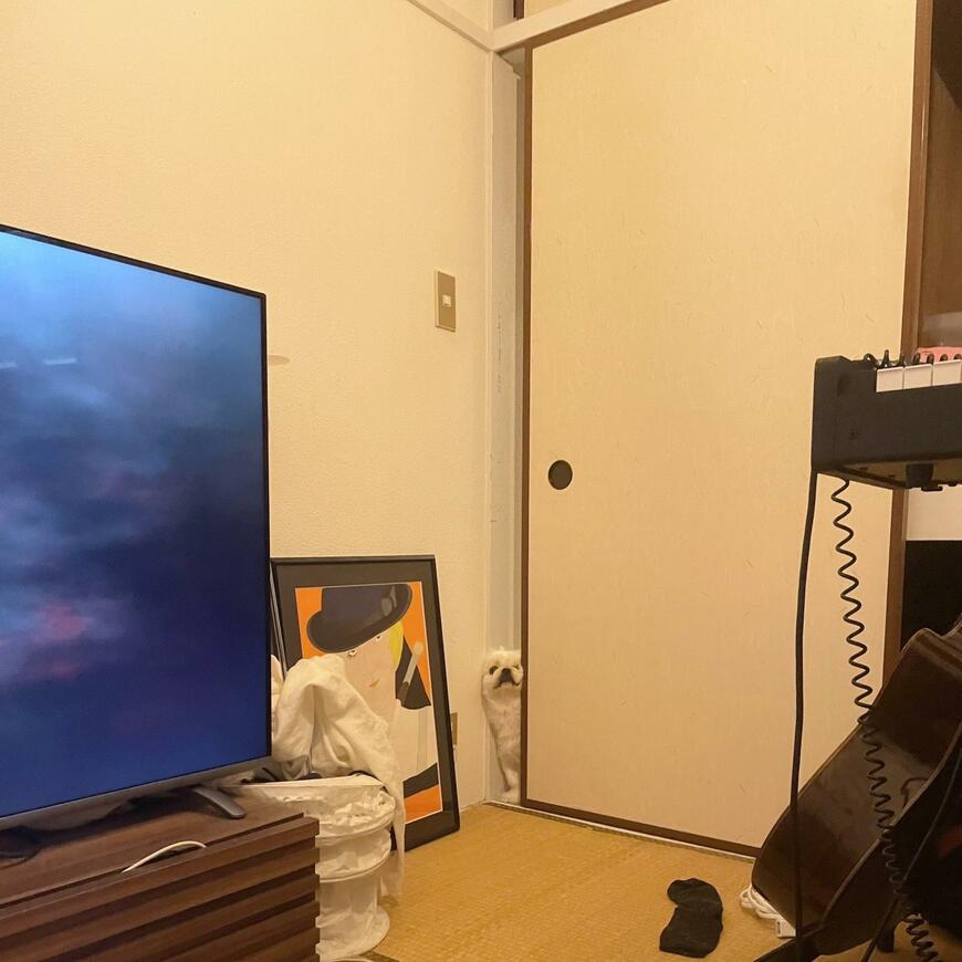 ふすまから覗く犬