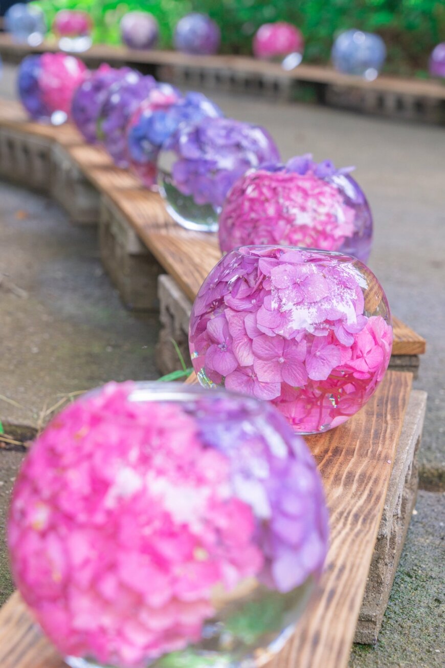 アジサイガラスボール