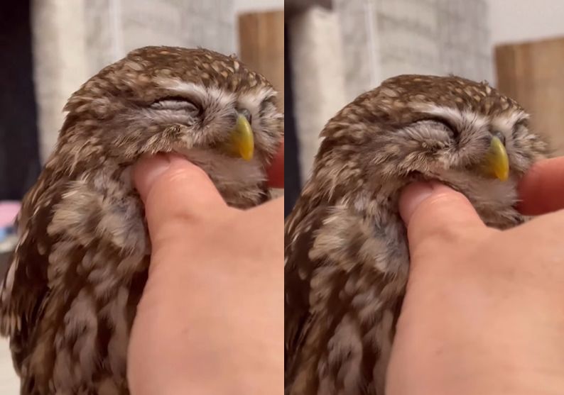 投稿動画のワンシーン