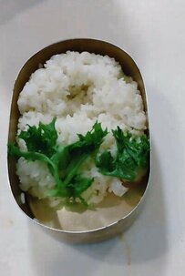 シングル父が自分に作る「春巻き弁当」　食欲そそる出来栄えに反響