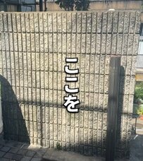 【築古戸建てDIY】家族みんなで協力！凸凹のブロック塀が真っ白でモダンな外壁に大変身