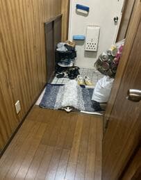 「猫を探せ」隠れているのに『気づいてないつもり』の猫がかわいくて笑ってしまう