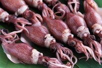 富山ならではの「ホタルイカ料理」が贅沢すぎると話題　「こんな食べ方があるの」「日本酒でいきたい…」