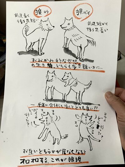 「狼狽」を絵で説明