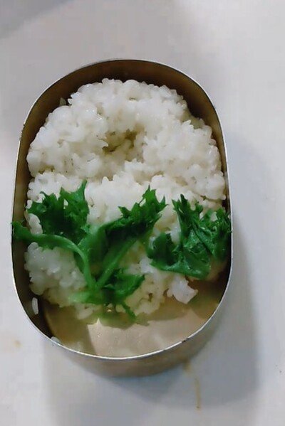 投稿動画のワンシーン