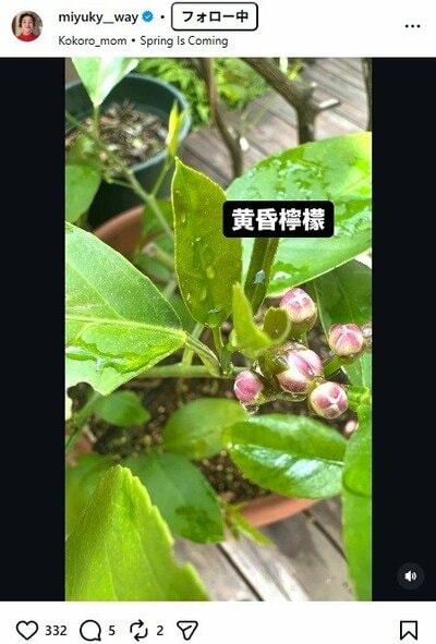 香坂みゆきのInstagram投稿