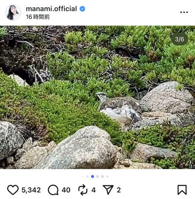 小西真奈美のInstagram