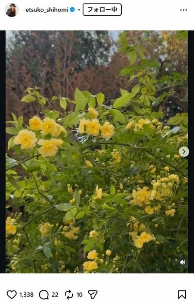 志穂美悦子のInstagram投稿