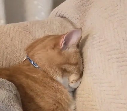 出所：＠torakichicorporation