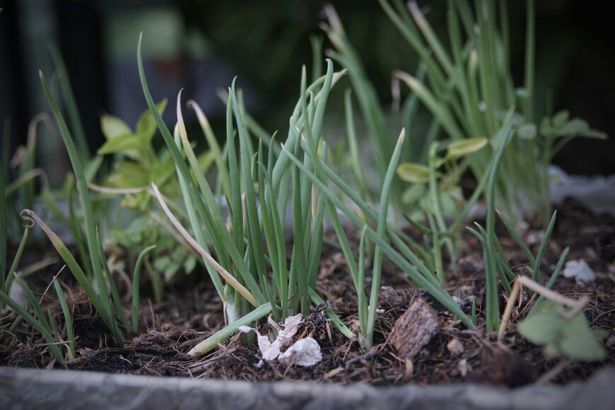 Rut_Luecha/Shutterstock.com