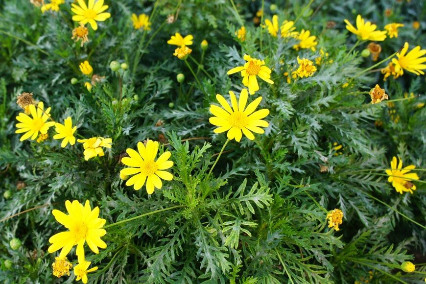 skymoon13/istockphoto.com