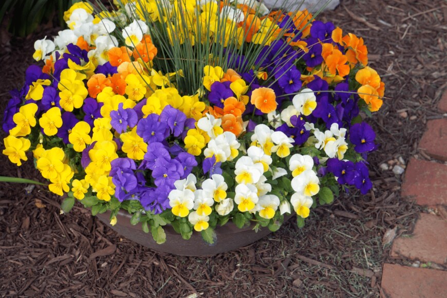 Richard L. Bowman/shutterstock.com