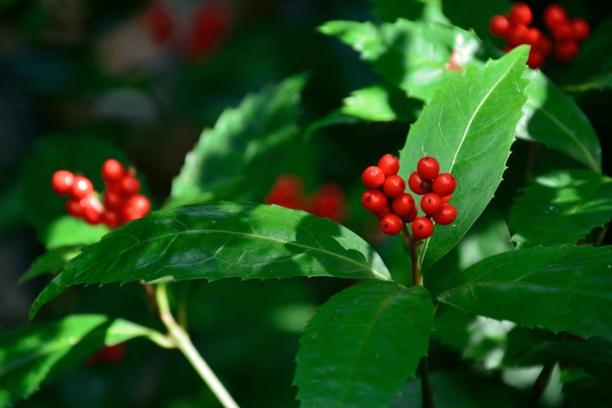 High Mountain/shutterstock.com