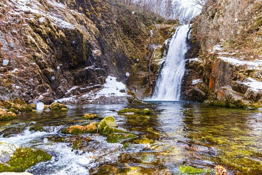 Spyan/shutterstock.com