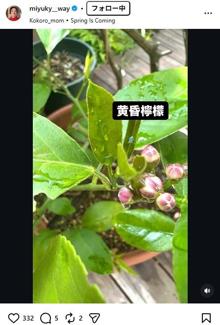 出所：香坂みゆきのInstagram（＠miyuky__way）　参照日：2026年4月13日