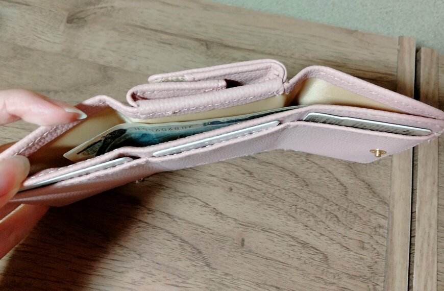 筆者撮影（宝島社、開運 三つ折り財布 2023）