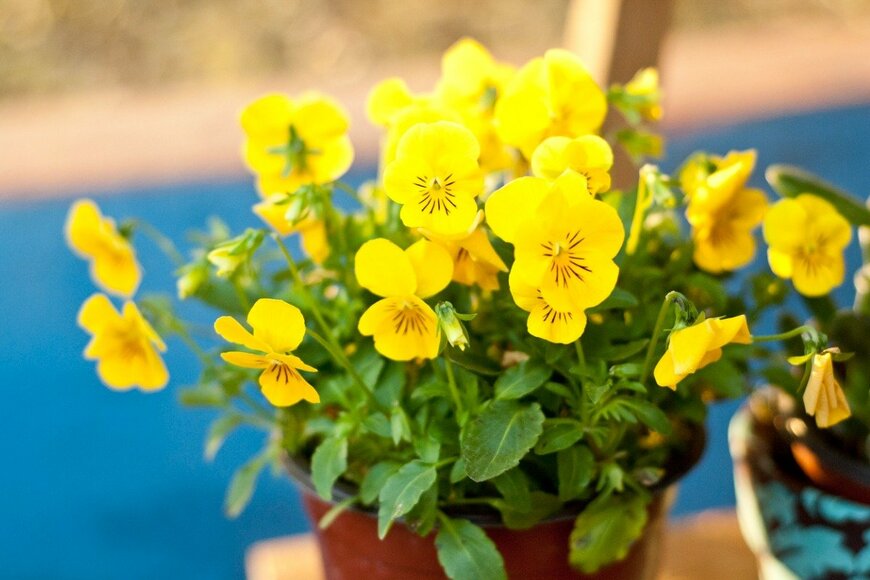 Gabo_GE/istockphoto.com