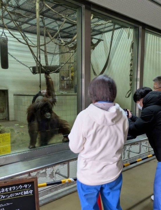 出所：@tobezooofficial