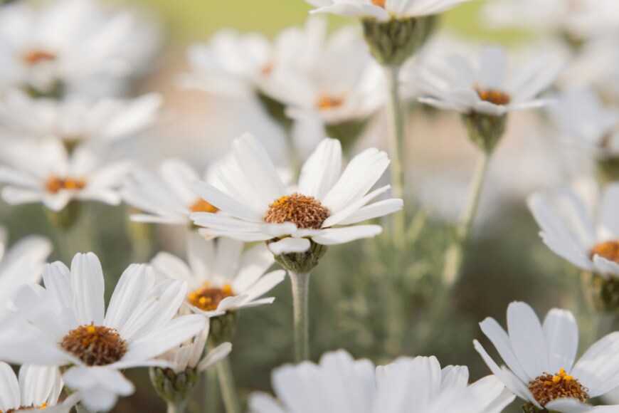 Ioana Rut/istockphoto.com