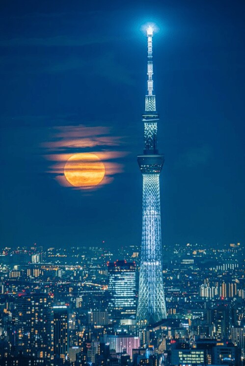 出所：@haskap1017