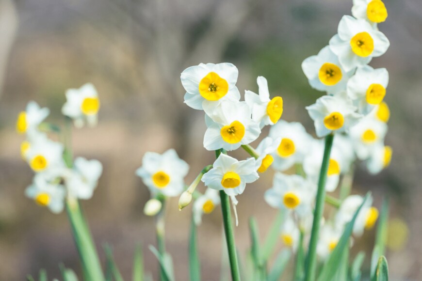 dar_st/istockphoto.com