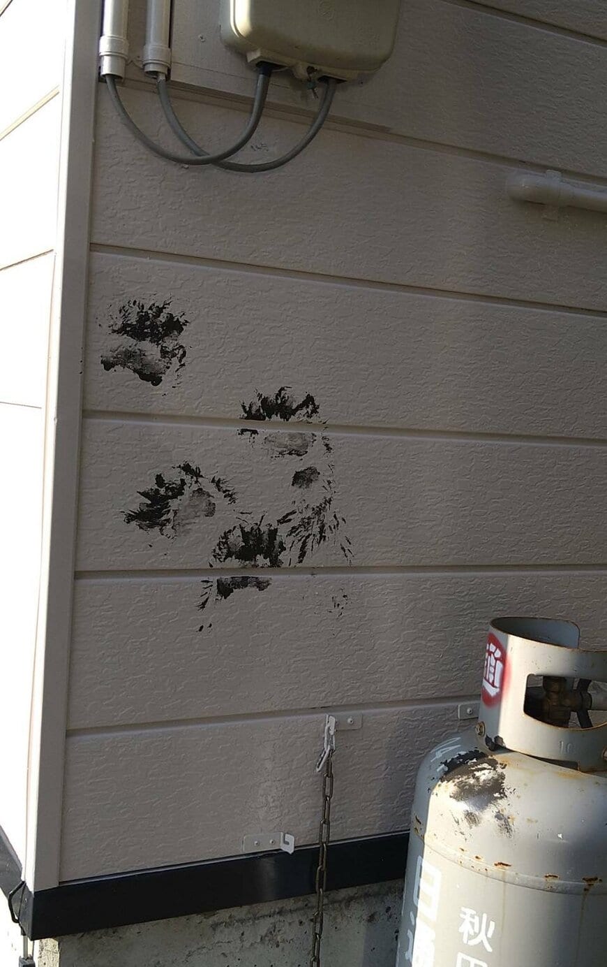 出所：@tadano_shasin