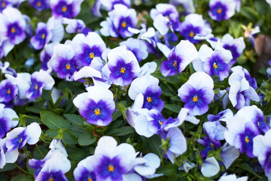 anniwet/istockphoto.com