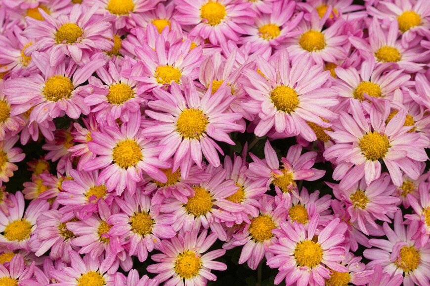 Jatuphot Phuatawee/istockphoto.com